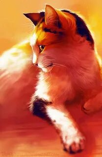 3 кота оранжевый кот