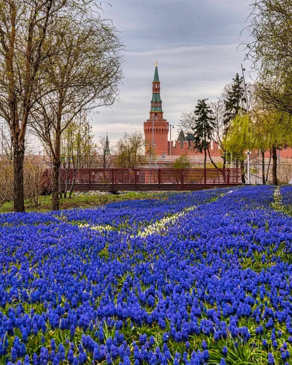 Горький апрель