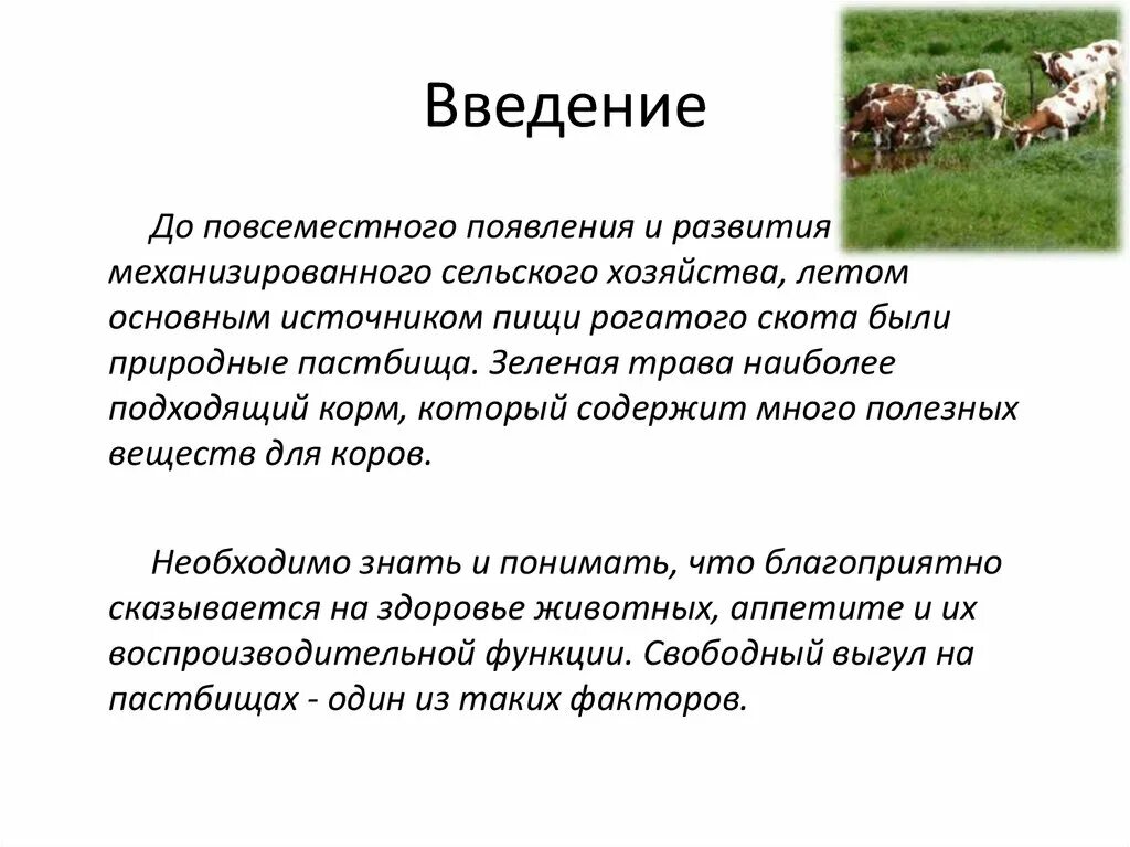 Гонять телят значение. Пастбищ для сельскохозяйственных животных. Скот на пастбище. Содержание сельскохозяйственных животных. КРС Выпас коров.