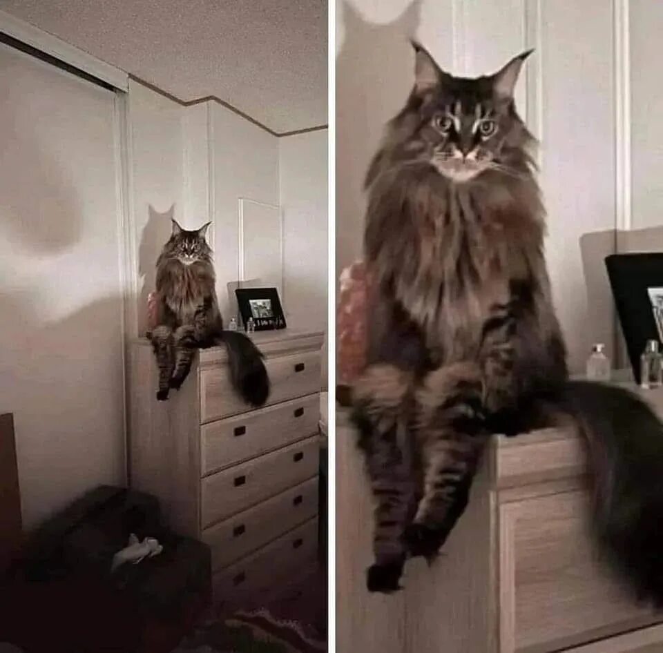 Что главное заметить такую