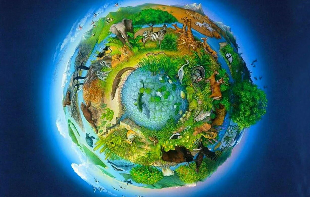Земной шар обладает отрицательным. Биосфера Живая оболочка земли. Биосфера — Живая оболочка планеты. Экосистема земли. Планета земля.