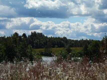 Старое село 1