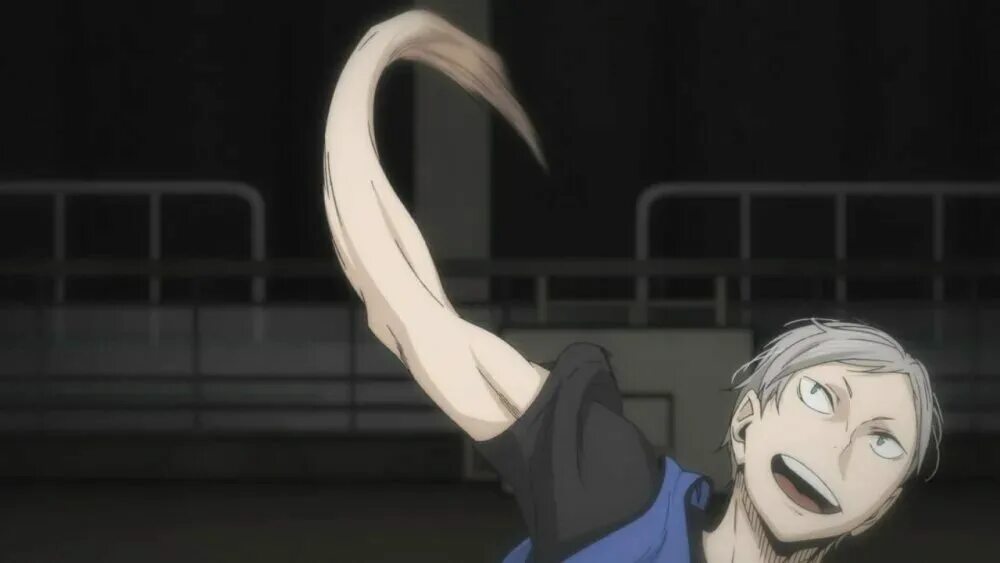 Львы про волейбол. Лев хайба. лев хайба волейбол. лев хайба рост.