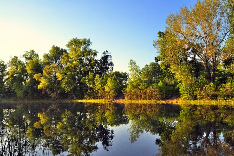 Закат сегодня. Гладь пруда. Древние пруды. Фотографирую закат. Осень засосала.