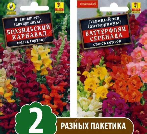 Семена львиный зев мадам баттерфляй. Львиный зев баттерфляй серенада.