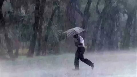 Shower weather