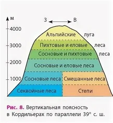 Почвы высотной поясности северной америки. Высотная поясность Кордильер. Высотная поясность почва Северная Америка. Высотная поясность Северной Америки таблица. Высотная поясность Кордильер Северной Америки.