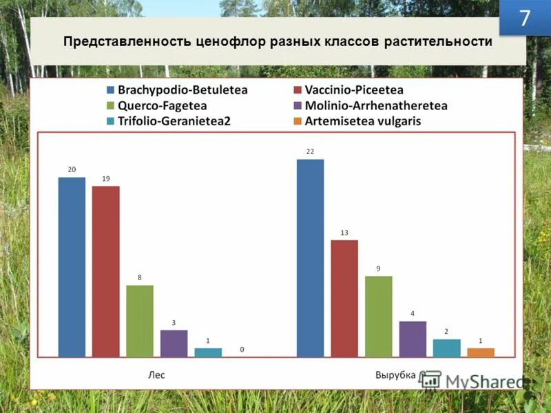 Региональная представленность. Как рассчитать представленность продукции. Мировая представленность. Слабая представленность это.