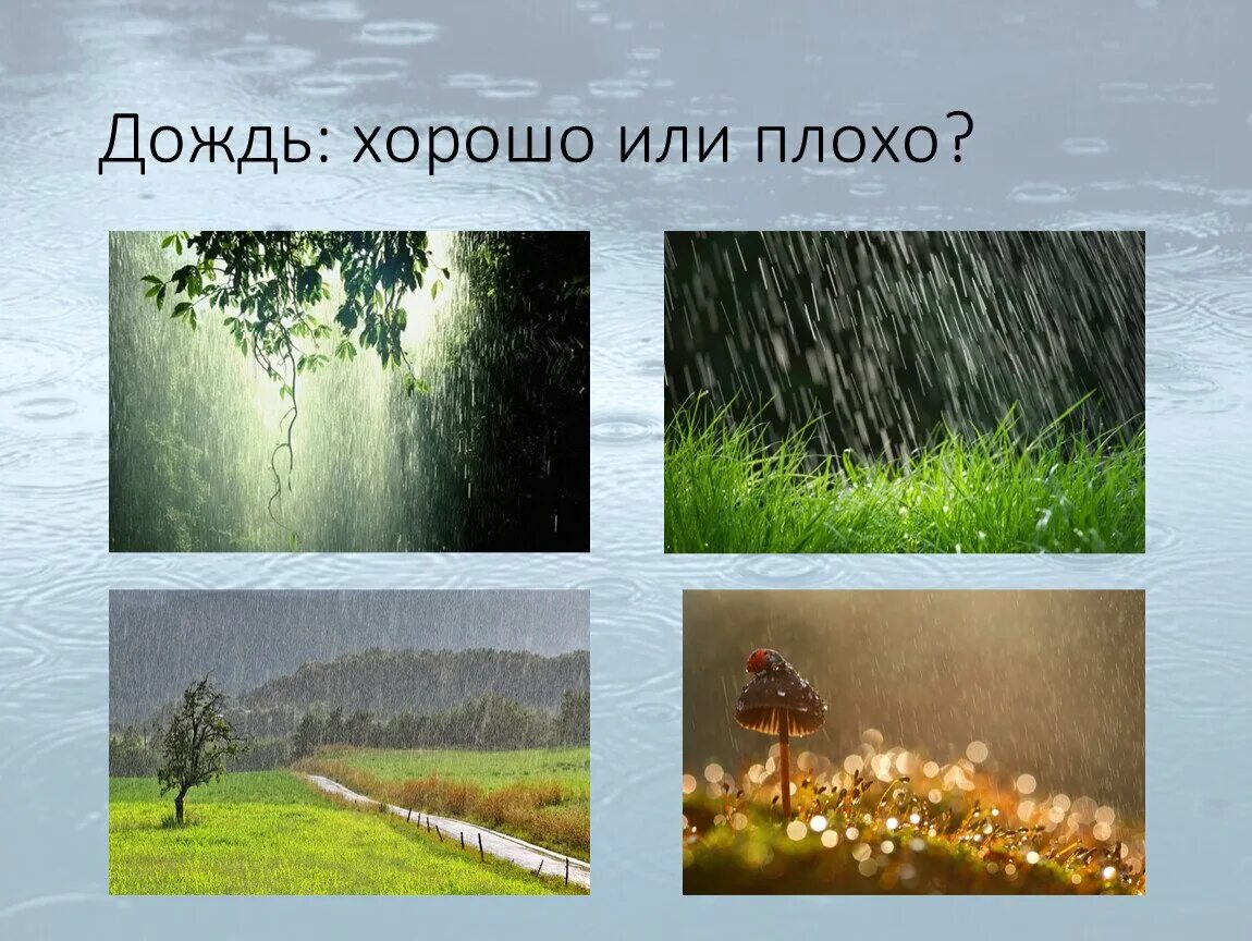 У природы есть плохая погода. У природы нет плохой птгтды. Дождь это хорошо или плохо. Картина хорошей погоды природа.