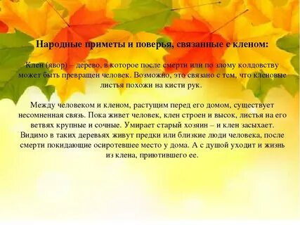 Приметы связанные с осенью