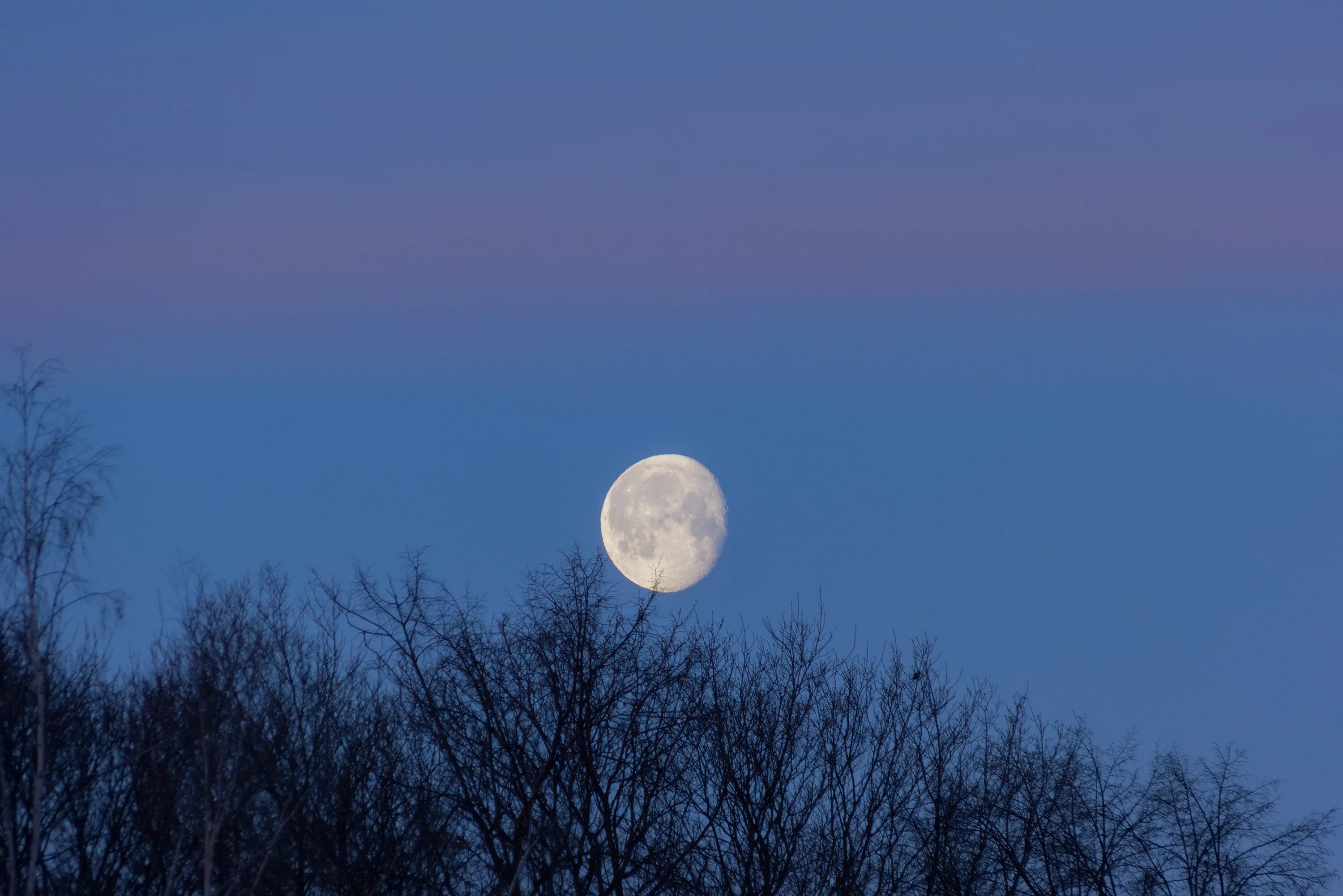 луна в сыктывкаре. луна фото. стереополина суперлуние 2021. снимок луны.