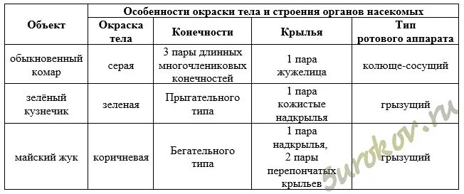 Окраска тела таблица. Таблица тип приспособленности. Формы приспособленности у животных. Лабораторная работа действие слюны. Окраска тела бабочки.