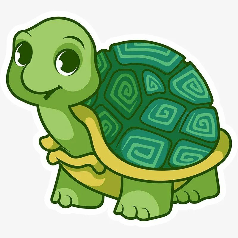 Left turtle. Черепаха рисунок. Черепаха для детей. Мультяшные черепахи. Черепашка мультяшная.