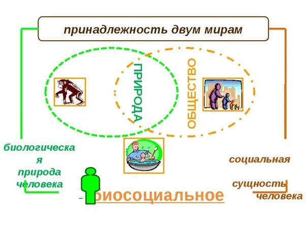 Урок как устроено общество 6 класс обществознание. Принадлежность к двум мирам 6 класс Обществознание. Принадлежность двум мирам презентация. Принадлежность к 2 мирам Обществознание 6 класс. Принадлежность к двум мирам презентация 6 класс.