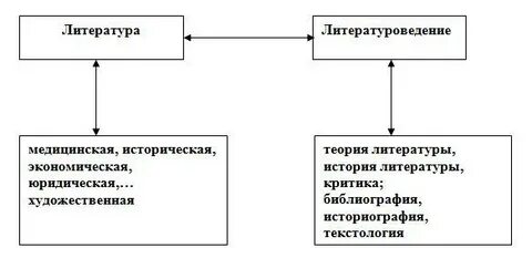 Основные дисциплины литературоведения