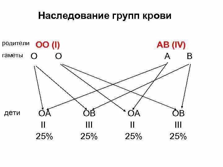 Наследование групп крови ребенком. Схема наследования групп крови. Наследование групп крови генетика. Закономерности наследования групп крови. Задачи на генетику на наследование группы крови.