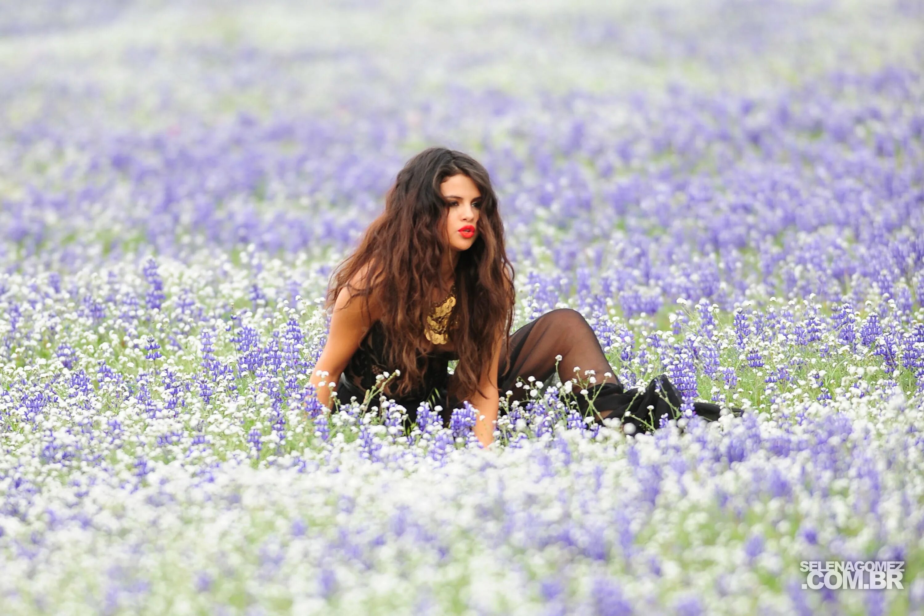 селена гомес клипы. All day all night watafak. фотосесия come & get it в калифорнии (03. Selena gomez slow down. клип come.