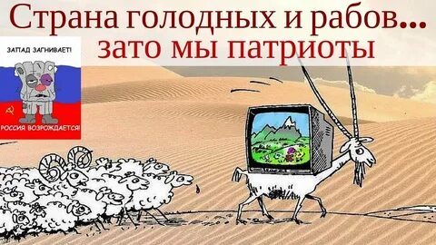 Слуга страны