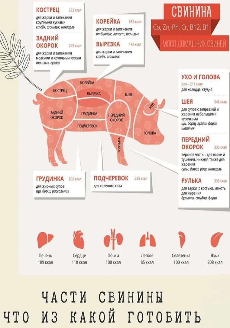 Мясо свинину можно есть. Части мяса свинины. Части туши свинины. Название частей свинины. Мясо части туши свиньи.