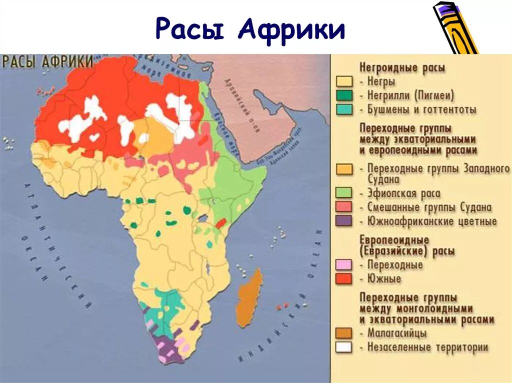 Какая раса проживает в северной африке. Карта плотности населения Африки 7 класс. Карта размещения населения Африки. Население Африки карта народы. Плотность населения Африки 7 класс география.