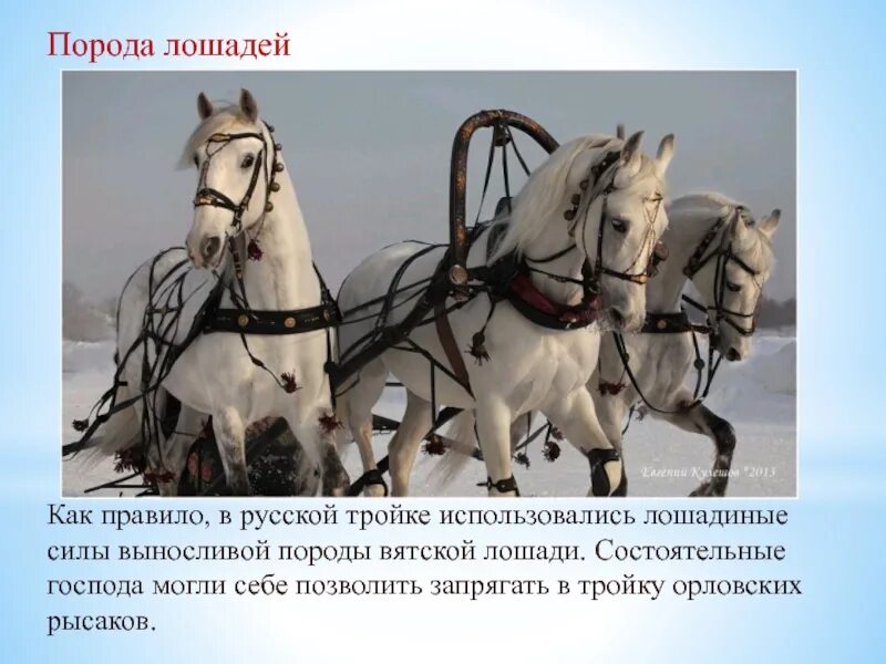 30 белых коней на красном холме. Белая лошадь хакасия. 30 белых коней на красном холме. Белая лошадь магнитогорск. Белый конь арийского царя.