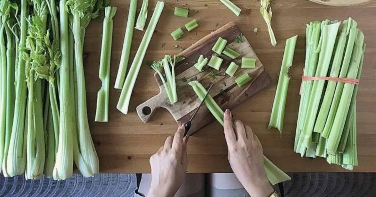 Сельдерей в сыром виде можно есть. Сельдерей клубневый. сельдерей атлант черешковый. сельдерей корешковый. сельдерей стеблевой.