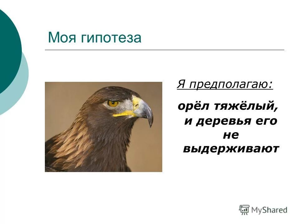 Орел работа на личном. Орел работа на личном