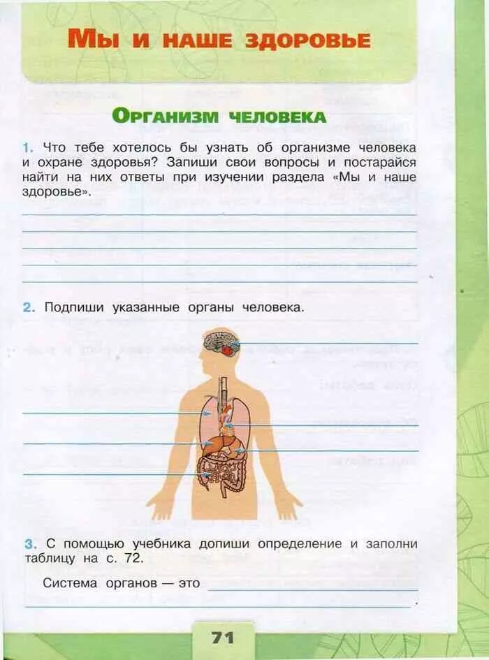 Мир страница 71 рабочая тетрадь. Окружающий мир 3 класс рабочая тетрадь стр 71. Окружающий мир 3 класс рабочая тетрадь стр 71-72. Организм человека 3 класс окружающий мир Плешаков. Рабочая тетрадь с 71 окружающий мир 3 класс а а Плешаков.