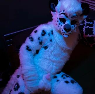 View and enjoy Fursuitsex with the endless random gallery on Scrolller.com....