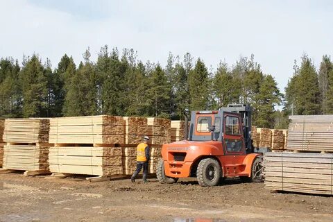 Вологодский лесной комплекс