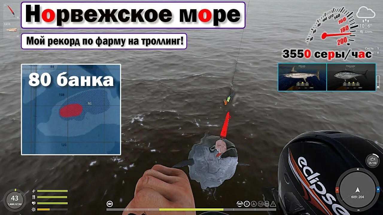 Сайра ловят. Карта норвежского моря рр4. Рр4 норвежское море фарм. Рр4 норвежское море фарм 2024. Серебро рр4.