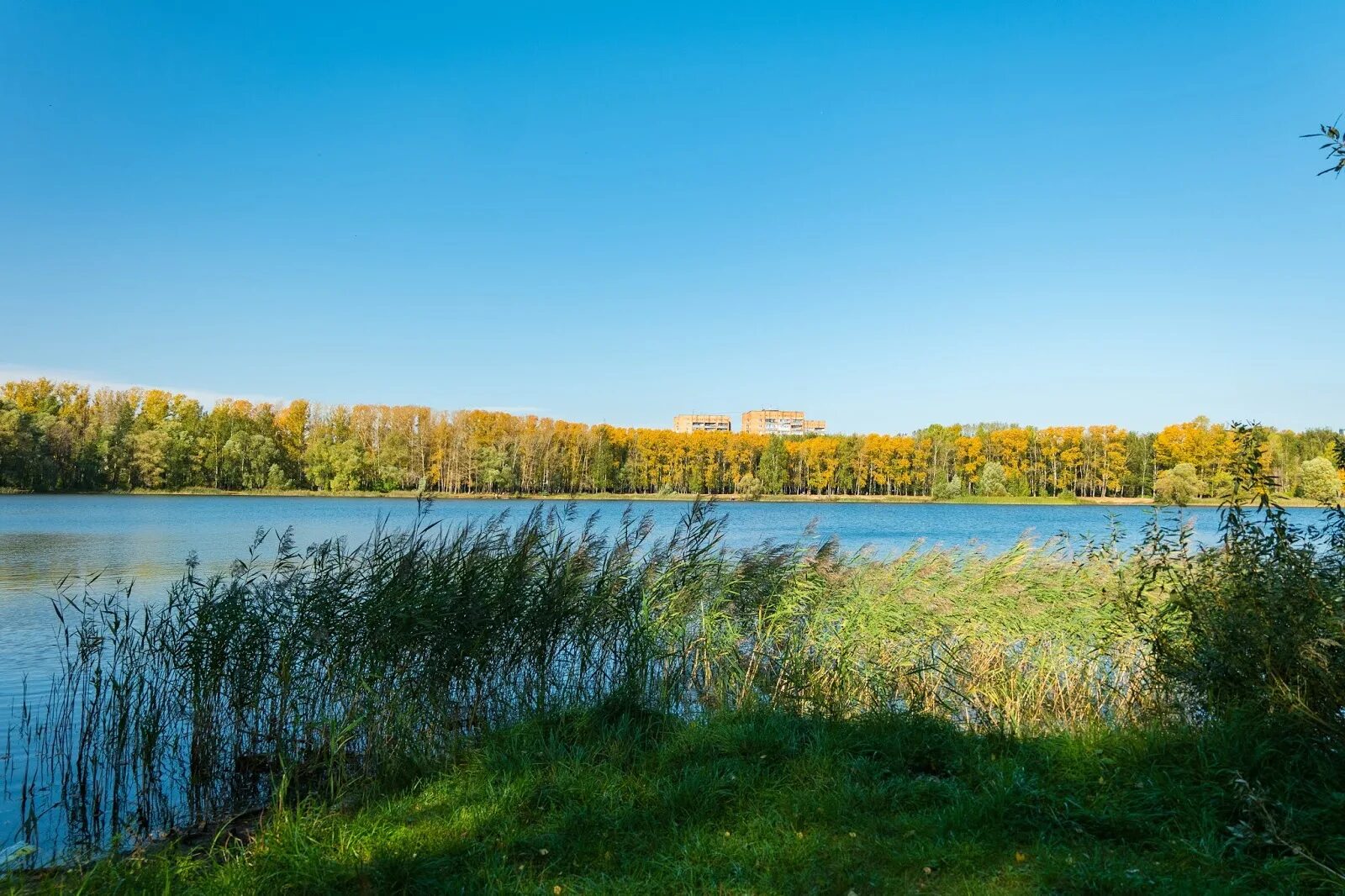 Светлоярское озеро Нижний Новгород. Озеро Светлоярское Светлоярское Нижегородская. Светлоярское озеро Сормово. Озеро Светлояр Нижегородская область Воскресенский район. Озеро нижнее отзывы