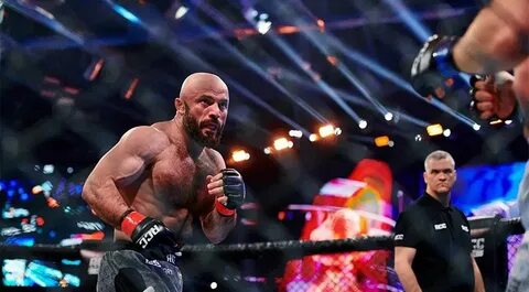 Кто выиграл в бою сегодня