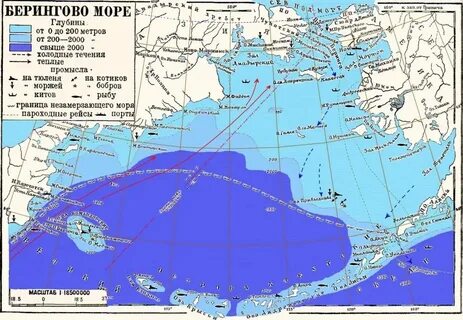 От балтийских берегов до берингова моря