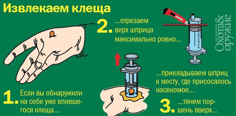 Как удалить клеща у человека самостоятельно присосавшегося. Как вытащить клеща шприцом. Как убрать клеща с помощью шприца. Как вытащить клеща с помощью шприца. Как извлечь клеща шприцом.