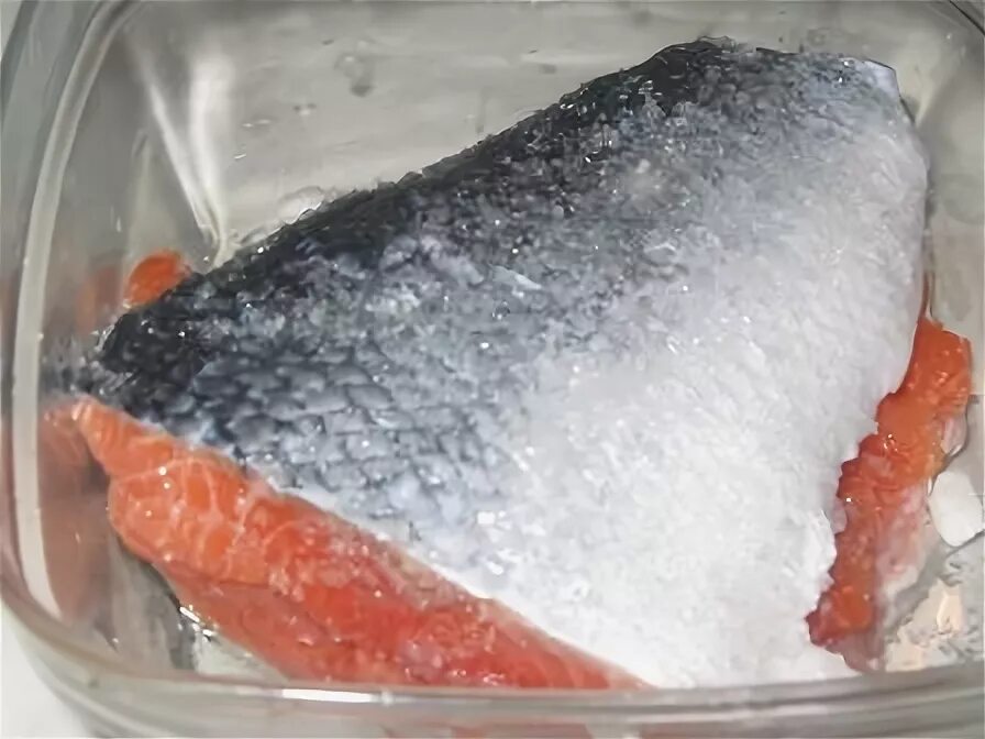 солим форель морской солью. форель соль и сахар пропорции. форель соль и сахар пропорции. засолка форели. засолка радужной форели.