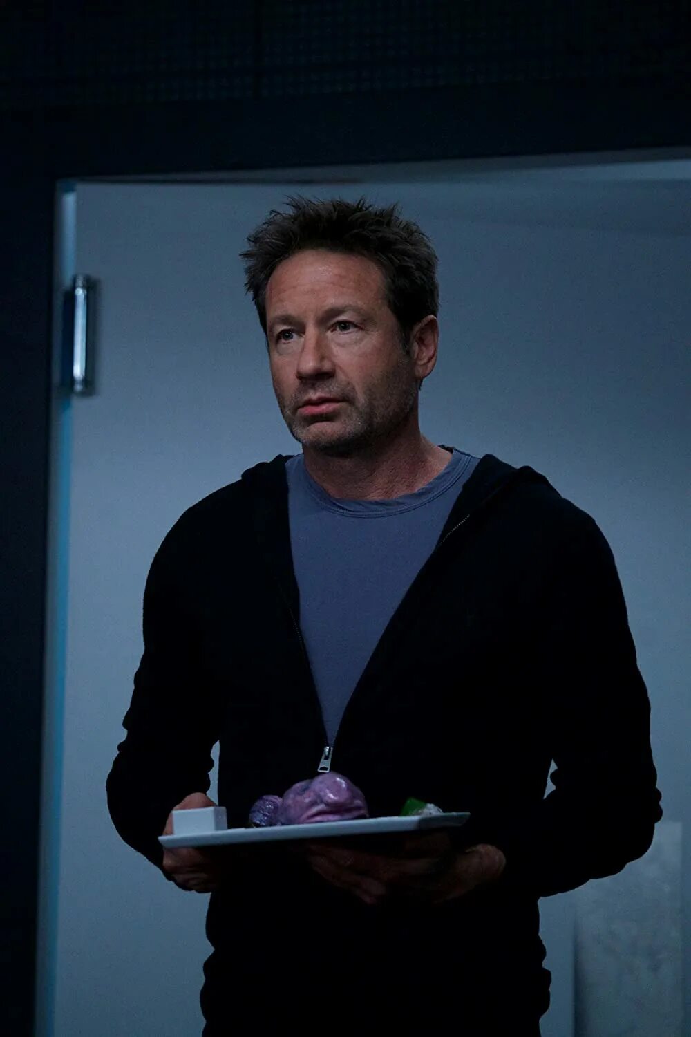 Духовны секретные материалы. David Duchovny секретные материалы 2018. Секретные материалы Фокс Малдер.