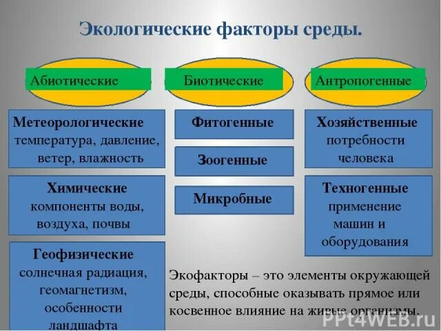 Экологические факторы 5 класс биология тест. Экологические факторы среды абиотические биотические антропогенные. Факторы окружающей среды биотические и абиотические. Факторы среды абиотические антропогенные. Экологические факторы абиотические биотические антропогенные.