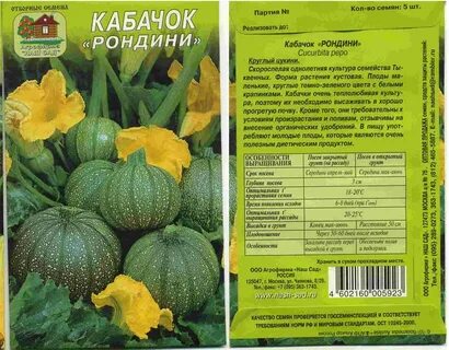 Кабачки описание сорта фото отзывы