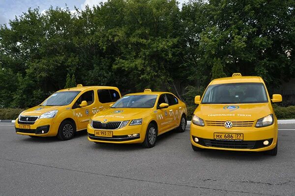 заказные перевозки мосгортранс. заказные перевозки мосгортранс. шаттл мосгортранс. мосгортранс перевозки. туристические автобусы мосгортранс.