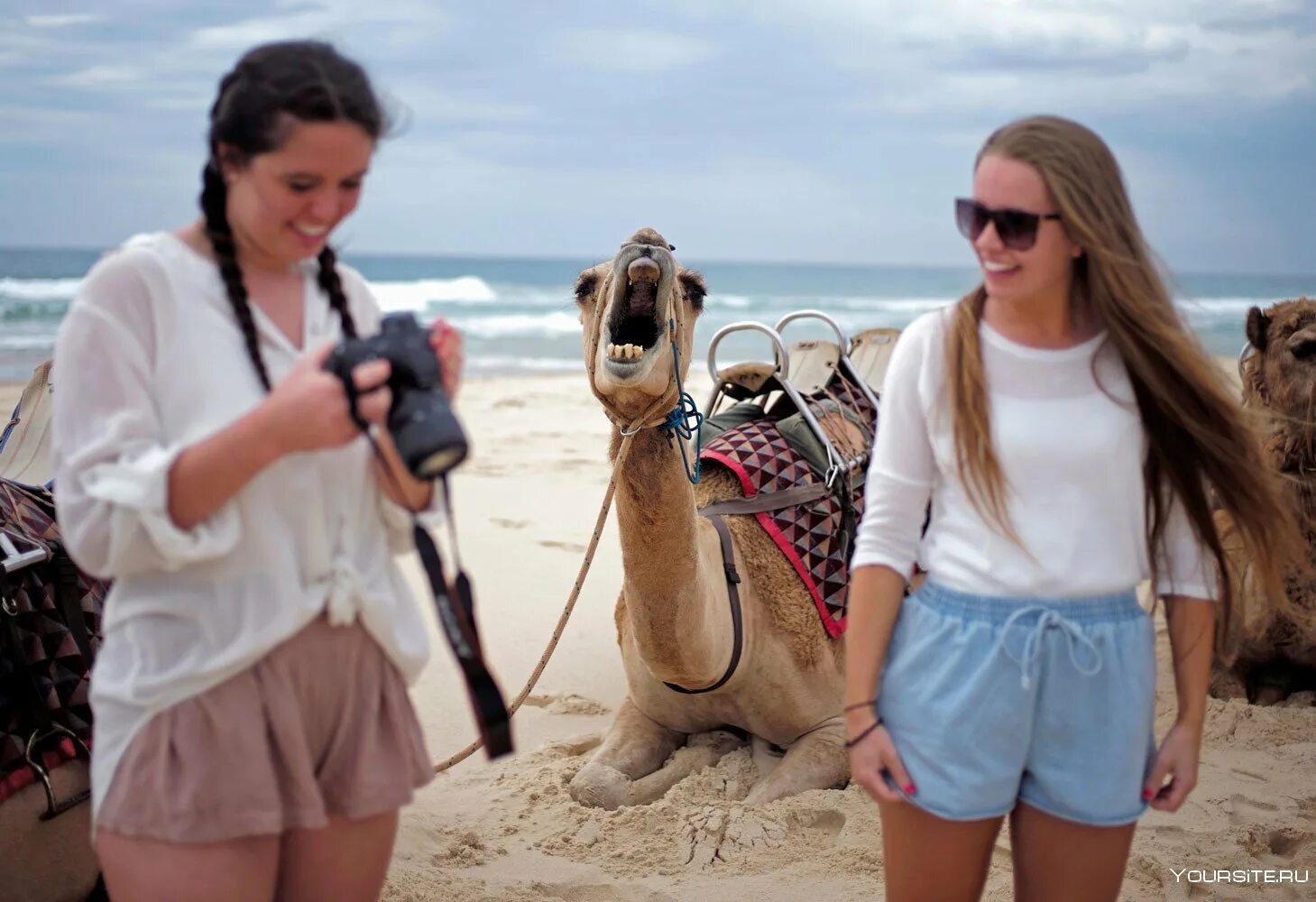 Веселые туристы фото. Смешные фото туристов. Веселый поход. Забавные туристы. Веселый туризм.