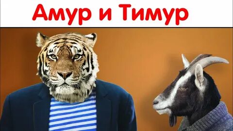 Тигр с козлом