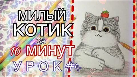 Страница котика