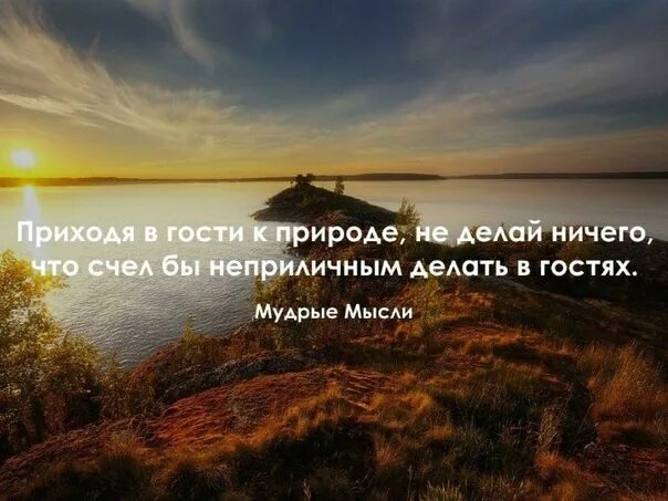 Природа выражения