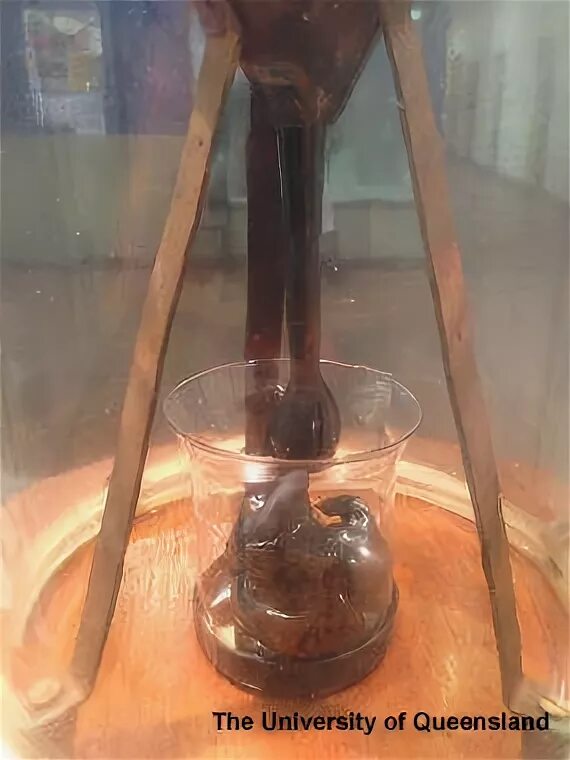 Самый долгий в мире опыт. Профессор джон мейнстоун. Самый долгий эксперимент капля битума. Pitch drop эксперимент. Эксперимент с битумом.