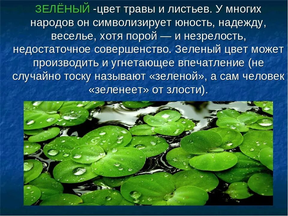 Значения оттенков зеленого. Влияние зеленого цвета на человека. Интересные факты о зеленом цвете. Что символизирует зеленый цвет. Психология зеленого цвета для человека.