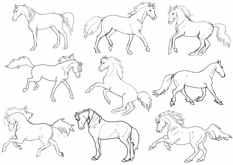 Трафарет лошади для рисования. Макет долади Лоя рисования. Лошадь эскиз. Лошадка трафарет для рисования.