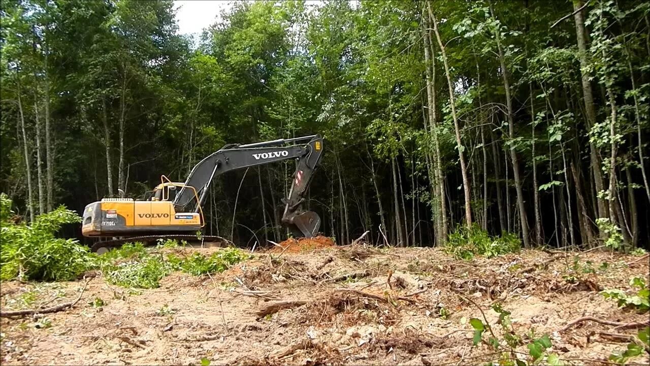 Clearing land. Land clearing. Excavated Land. Вольво 210 экскаватор картинки подготовленного для леса. Land clearing icons.