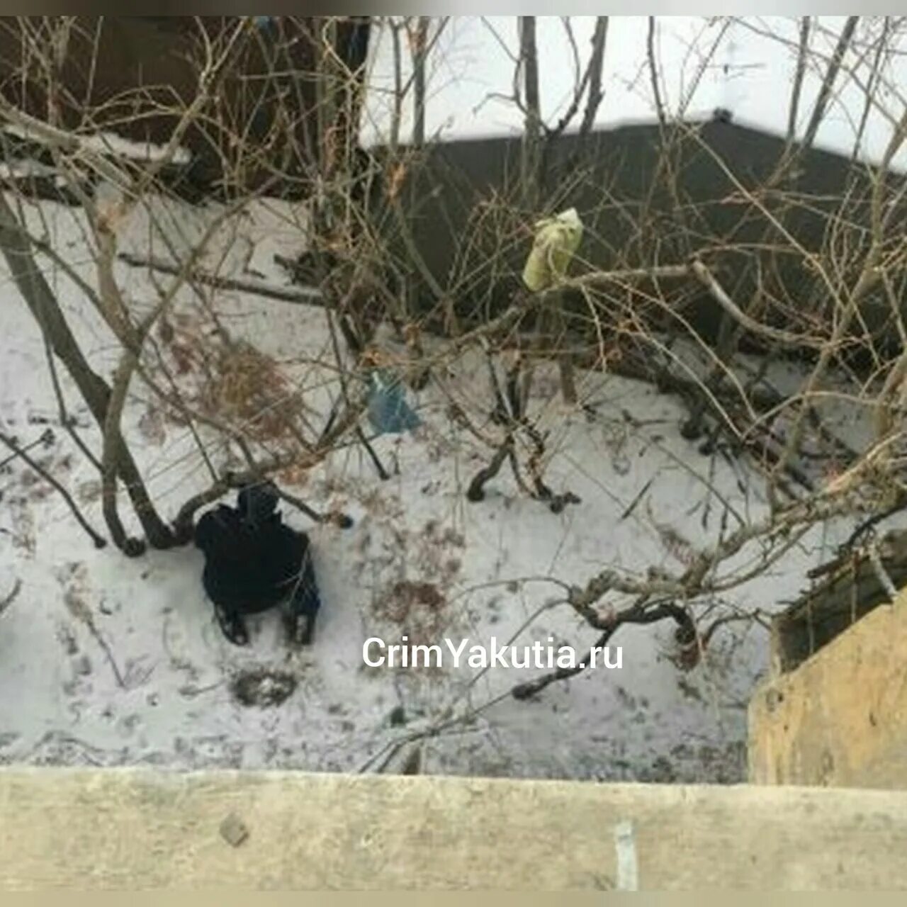 Новости повешенный. Повешенный человек в квартире.