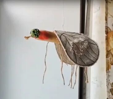 Муха руки